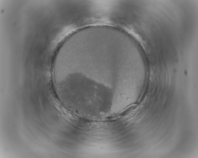 X0000088591407200706151725