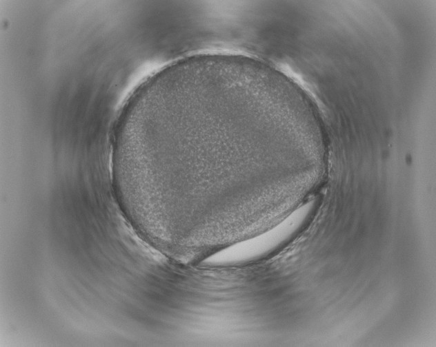 X0000088591408200706151725