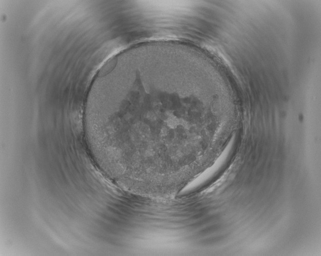 X0000088591409200706151725