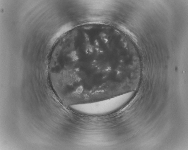 X0000088591411200706151725