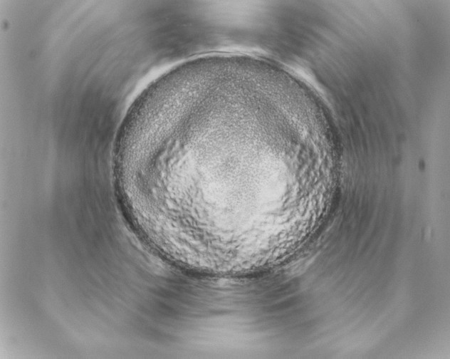 X0000088591412200706151725