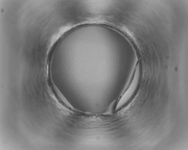 X0000088591414200706151725