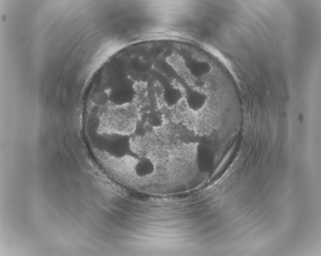 X0000088591415200706151725