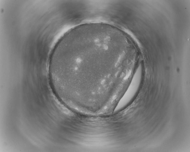 X0000088591416200706151725