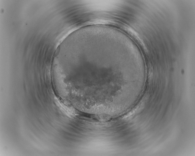 X0000088591417200706151725