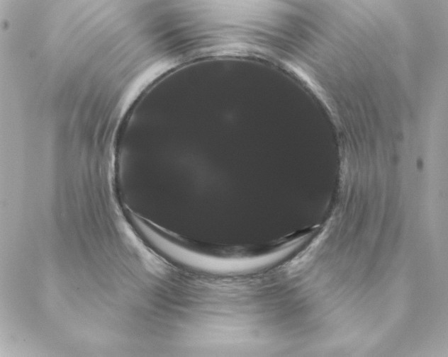 X0000088591418200706151725