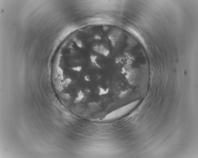 X0000088591419200706151725