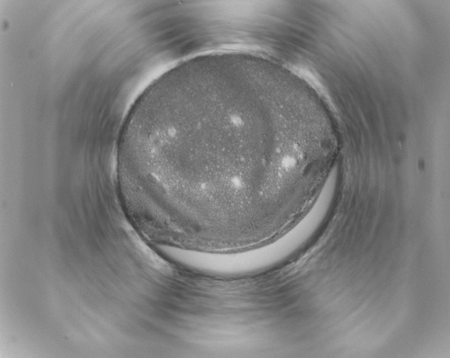 X0000088591420200706151725