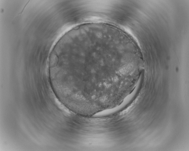 X0000088591421200706151725