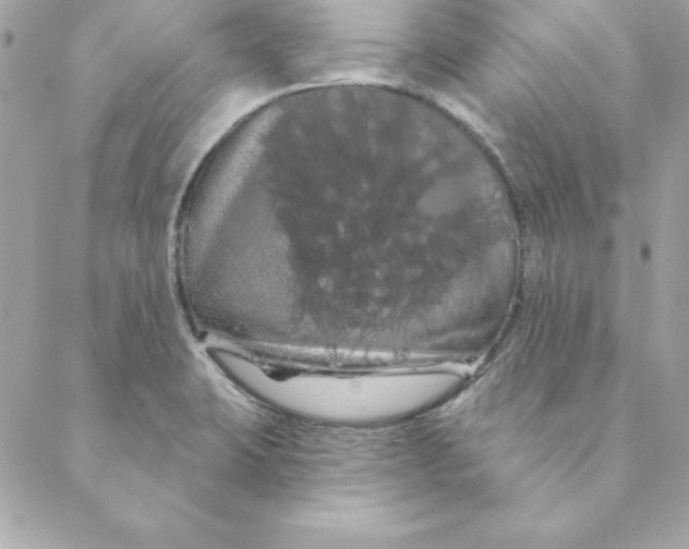 X0000088591423200706151725