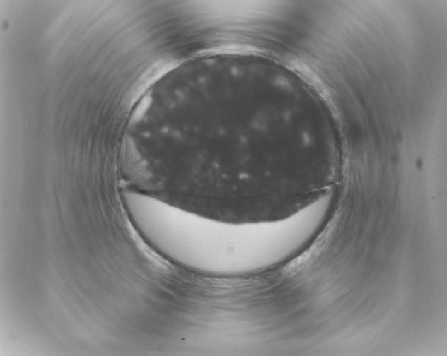 X0000088591425200706151725