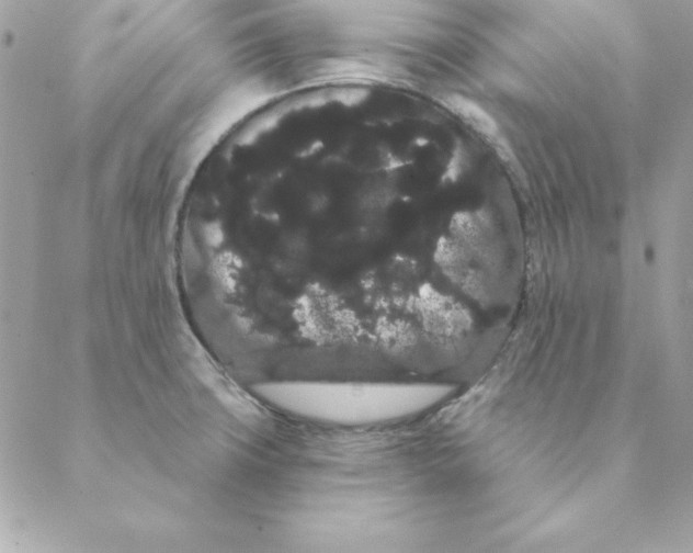 X0000088591427200706151725