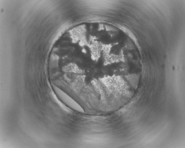 X0000088591429200706151725