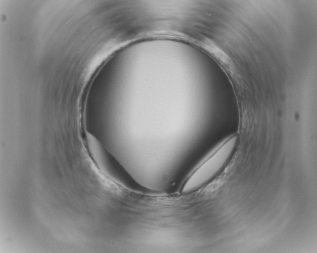 X0000088591430200706151725