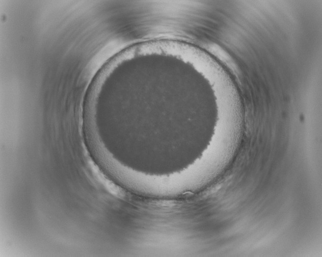 X0000088591431200706151725