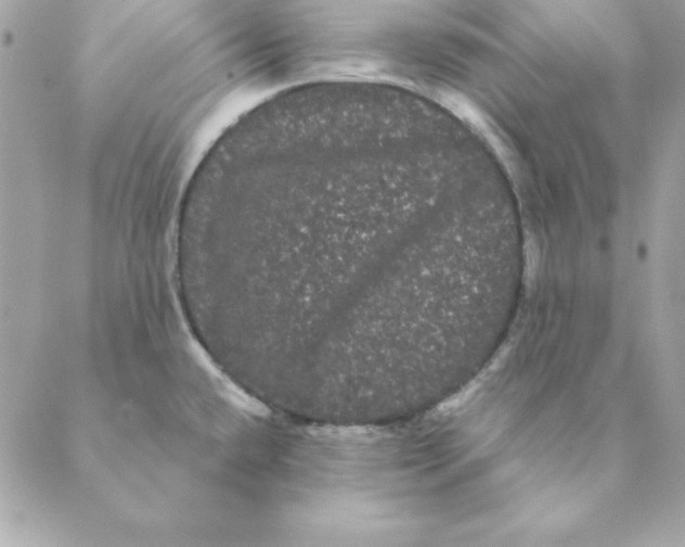 X0000088591432200706151725