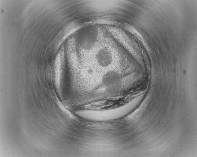 X0000088591433200706151725