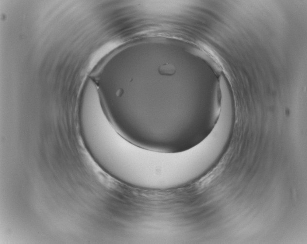 X0000088591434200706151725