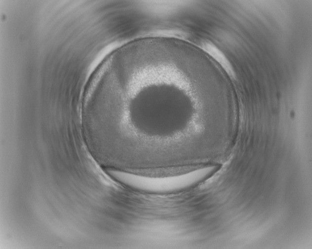 X0000088591436200706151725