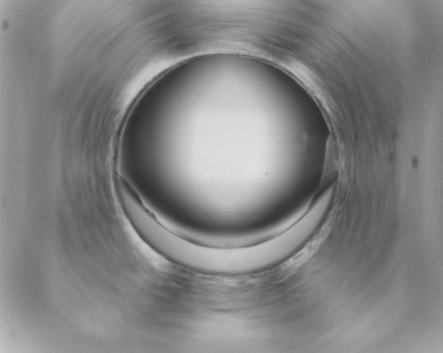 X0000088591438200706151725