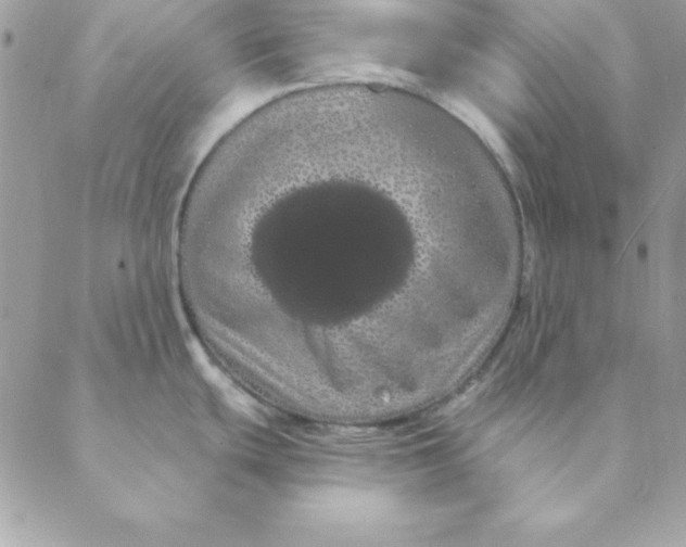 X0000088591439200706151725