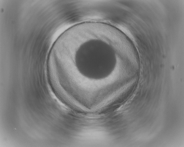 X0000088591440200706151725