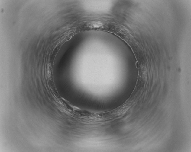 X0000088591442200706151724