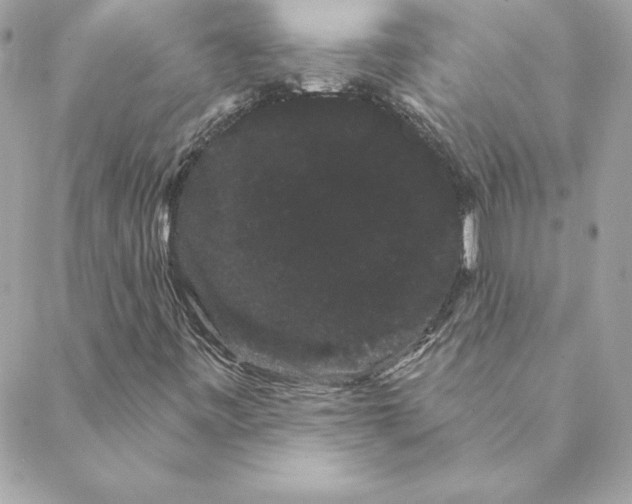 X0000088591443200706151724