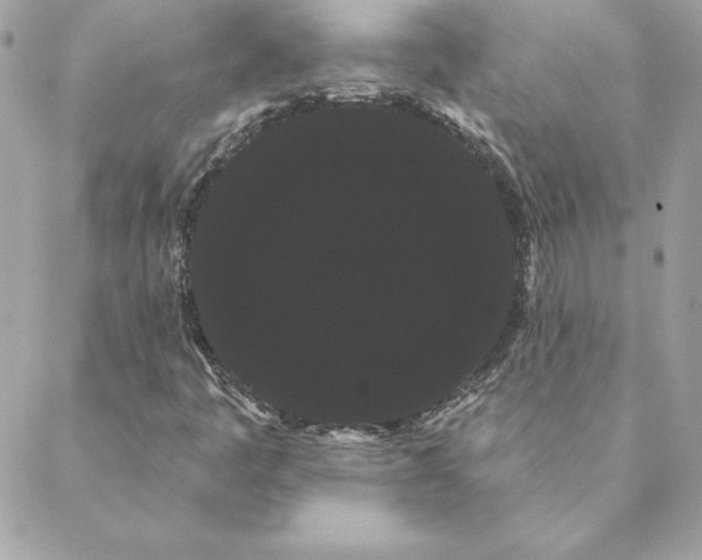 X0000088591445200706151724