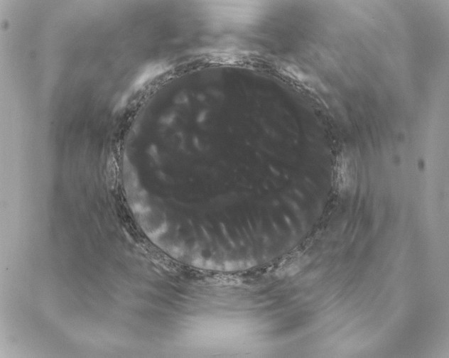 X0000088591446200706151724