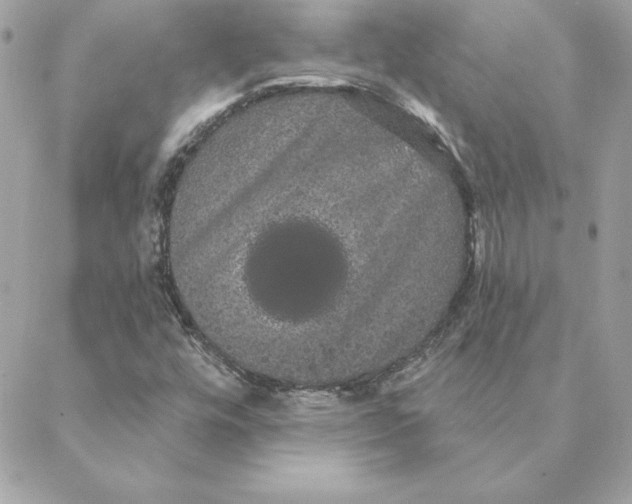 X0000088591448200706151724