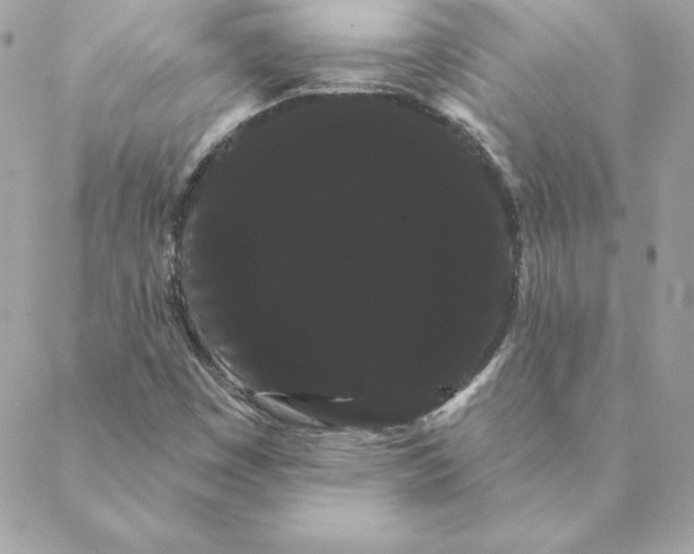 X0000088591449200706151724