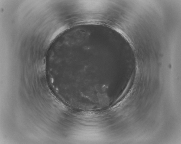 X0000088591450200706151724