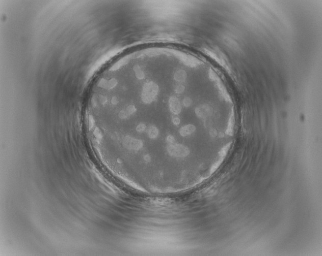 X0000088591452200706151724