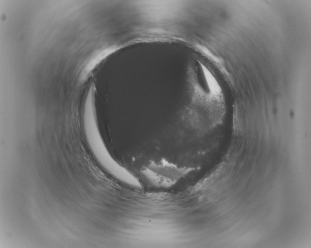 X0000088591453200706151724