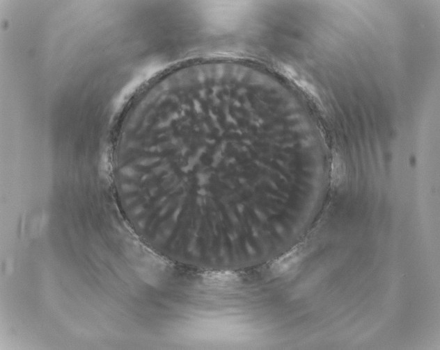 X0000088591454200706151724