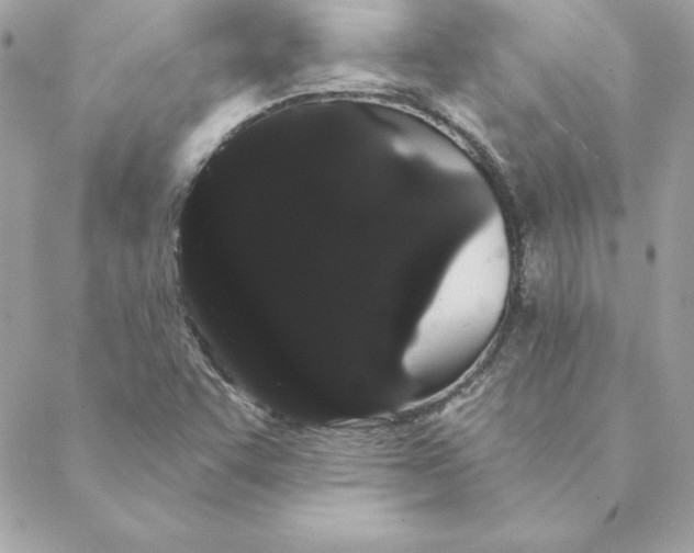 X0000088591455200706151724