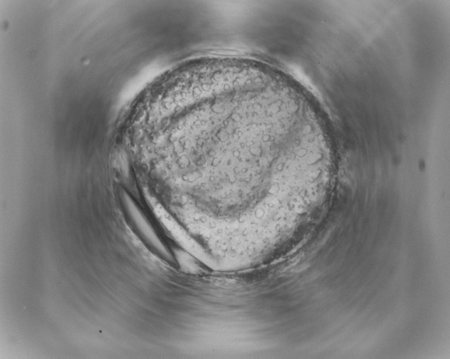 X0000088591456200706151724