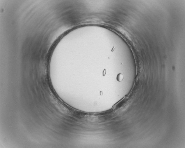 X0000088591458200706151724