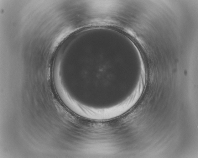 X0000088591459200706151724