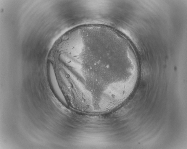 X0000088591460200706151724