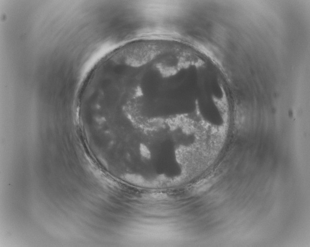 X0000088591462200706151724