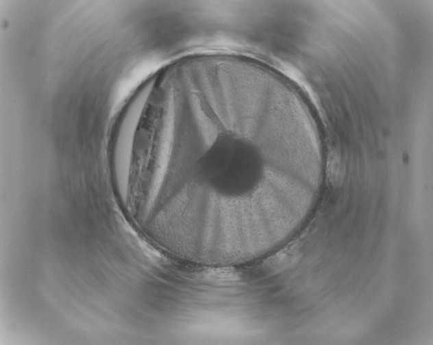 X0000088591464200706151724