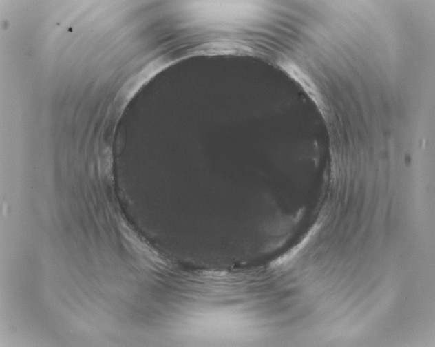 X0000088591465200706151724