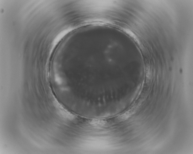 X0000088591466200706151724