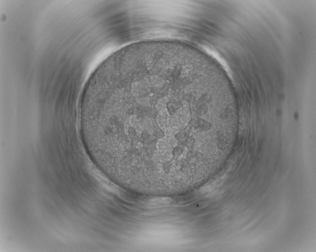 X0000088591467200706151724