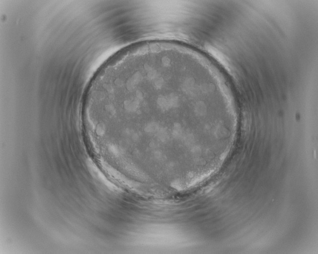 X0000088591468200706151724