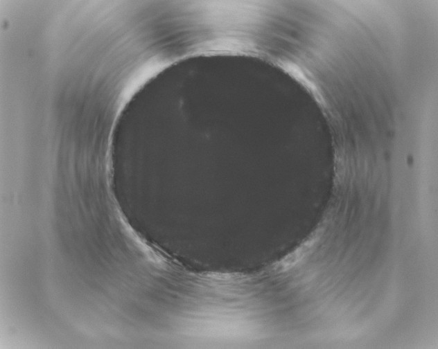 X0000088591469200706151724