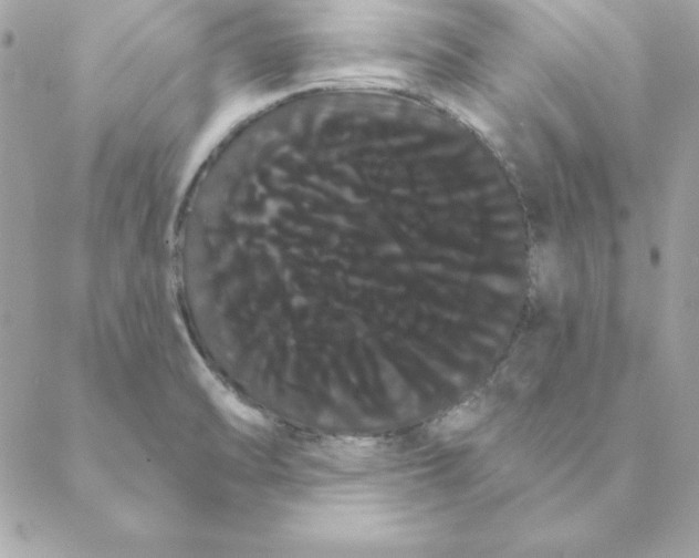 X0000088591470200706151724