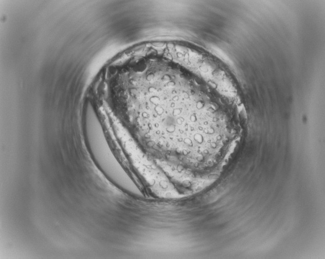 X0000088591472200706151724